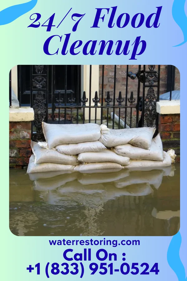 24/7 Flood Cleanup in Rockford, TN